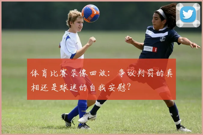 体育比赛录像回放：争议判罚的真相还是球迷的自我安慰？